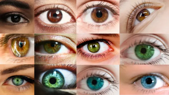 ألوان العيون … أنواعها وصفاتها وأسرار الألوان النادرة