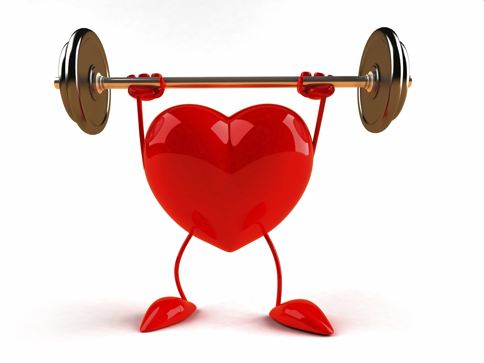 الحفاظ على عضلة القلب