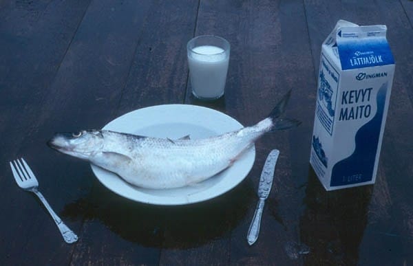 شرب الحليب بعد تناول السمك
