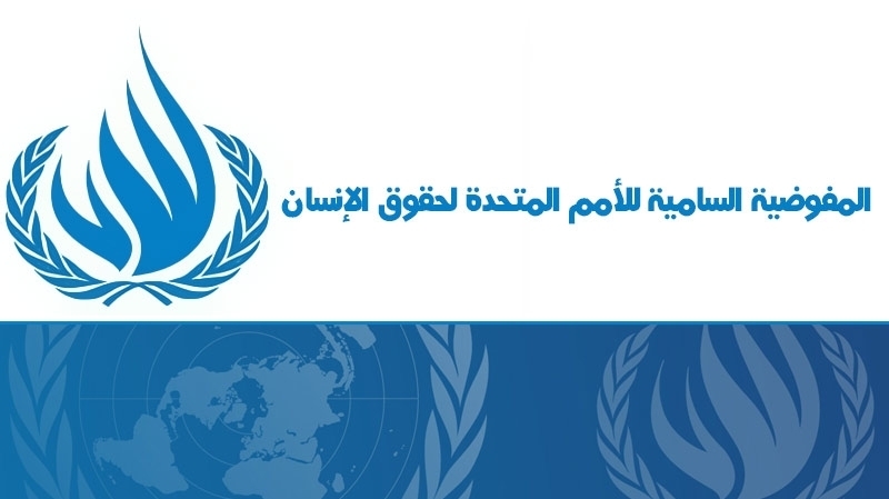 هيئة الأمم المتحدة لحقوق الإنسان