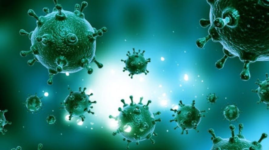 ما هو فيروس كورونا SARS-CoV-2؟