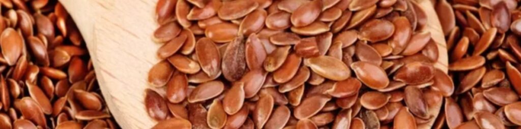 10 – بذور الكتان Flax seeds