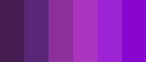 ما هي الألوان التي تناسب اللون البنفسجي الغامق في الديكور؟ 15 لون مذهل