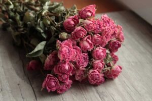 طريقة تجفيف الورد الطبيعي – 5 طرق لتجفيف الأزهار والاحتفاظ بها