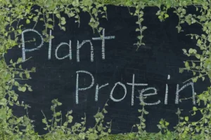 البروتين النباتي – هل أفضل من البروتين الحيواني؟ هل يبني عضلات؟