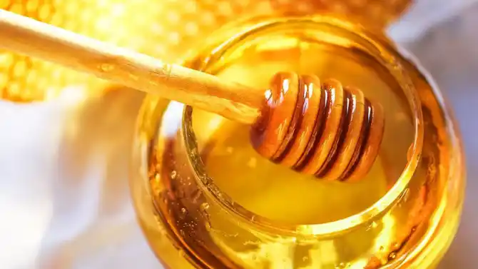 عسل المانوكا Manuka Honey ... أفضل أنواع العسل وأغلاها ثمنًا