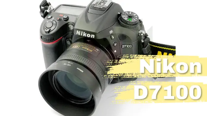 مواصفات وأسعار كاميرا نيكون دي 7100 وميزاتها - Nikon D7100