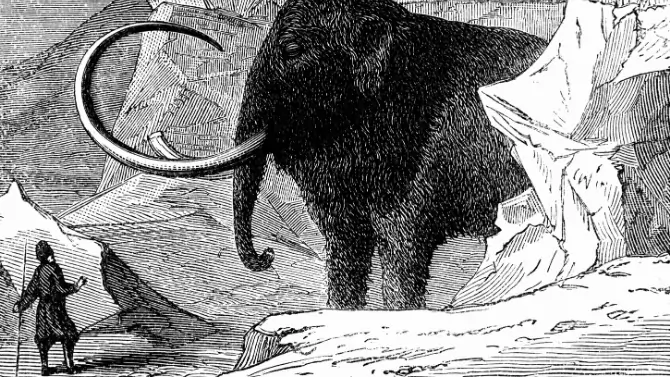 حجم فيل الماموث والإنسان